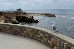 La Jolla: Guided Coastal Golf Cart Tour of Local Hidden Gems