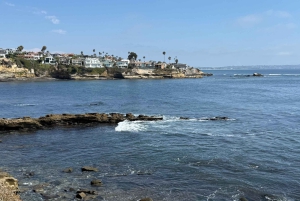 La Jolla: Guided Coastal Golf Cart Tour of Local Hidden Gems