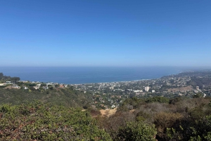 La Jolla: Guided Coastal Golf Cart Tour of Local Hidden Gems