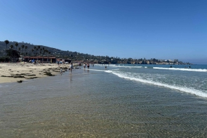 La Jolla: Guided Coastal Golf Cart Tour of Local Hidden Gems