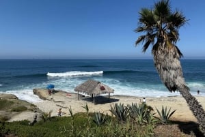 La Jolla: Guided Coastal Golf Cart Tour of Local Hidden Gems