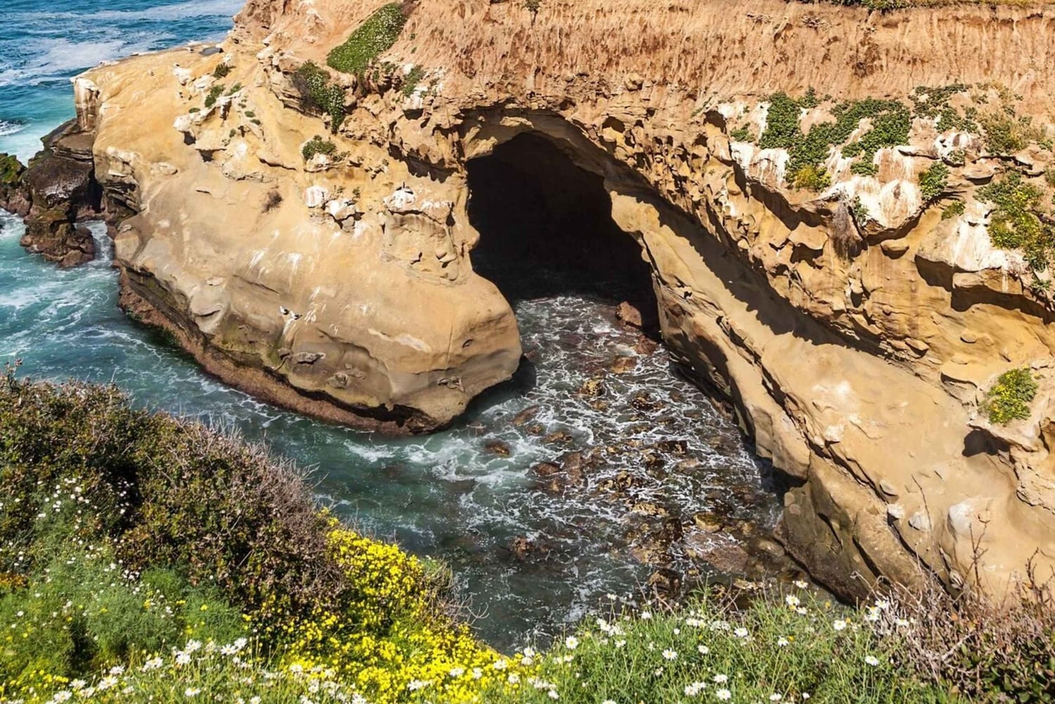 La Jolla - San Diego's juvel - guidet vandretur