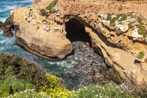 La Jolla - San Diego's juvel - guidet vandretur