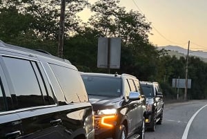 Los Angeles: prywatny transfer w jedną stronę z LAX do Disneylandu