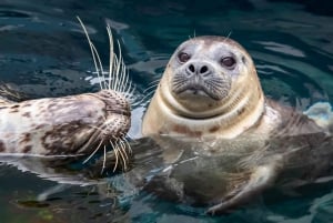 Los Angeles: All-Inclusive Pass including Universal Studios