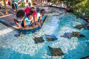 Los Angeles: All-Inclusive Pass including Universal Studios