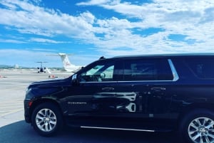 Los Angeles: 1-vejs privat transfer fra LAX til Disneyland