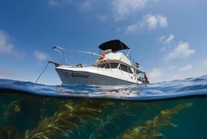 Mission Bay San Diego: Private Boat Cruises, Your Way