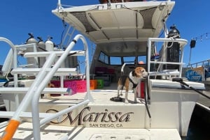 Mission Bay San Diego: Private Boat Cruises, Your Way