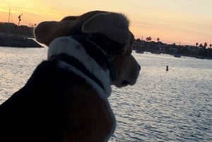 Mission Bay San Diego: Private Boat Cruises, Your Way