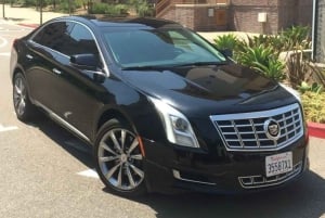 Montgomery-Gibbs Airport: Shuttle Service to Escondido