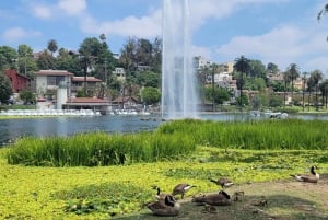 Private sightseeing tour in Los Angeles