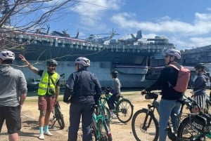 Privat to og en halv times tur med el-sykkel i San Diego