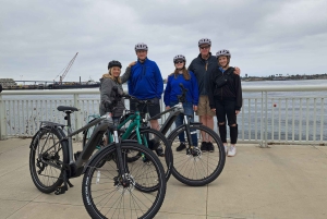 Private zweieinhalbstündige San Diego E-Bike Tour