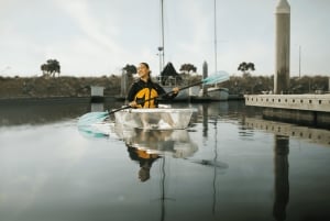 San Diego: 2024 Crystal Clear Kayak Rental