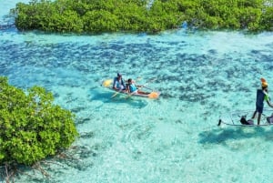San Diego: 2024 Crystal Clear Kayak Rental