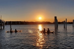 San Diego: 2024 Crystal Clear Kayak Rental