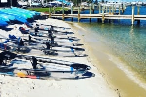 San Diego: 2024 Crystal Clear Kayak Rental
