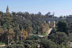 San Diego: 7-Mile Run Tour of Iconic Sites