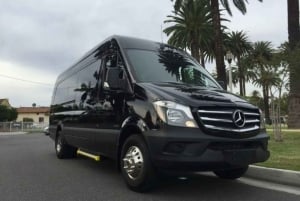 San Diego: Transfer z lotniska do Carlsbad