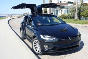 San Diego: Transfer z lotniska do Carlsbad