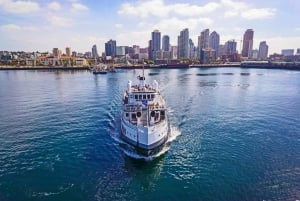 San Diego Pass Plus: Over 50 attraktioner – inkluderer LEGOLAND®