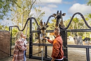 San Diego Pass Plus: Over 50 attraktioner – inkluderer LEGOLAND®