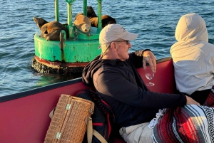 San Diego Bay: 2.5 hour Pure Catamaran Sailing Cruise