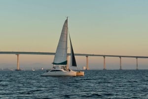 San Diego Bay: 2.5 hour Pure Catamaran Sailing Cruise