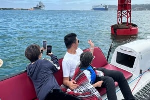 San Diego Bay: 2.5 hour Pure Catamaran Sailing Cruise
