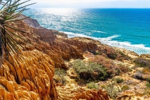 San Diego: Beaches & Bluffes Self-Guided Driving Tour