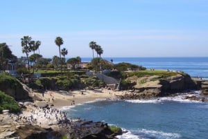 San Diego: Beaches & Bluffes Self-Guided Driving Tour