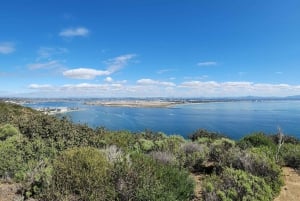 San Diego: Beaches & Bluffes Self-Guided Driving Tour