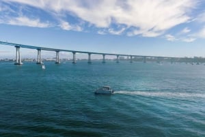 San Diego: Bennington Luxury Pontoon Rental
