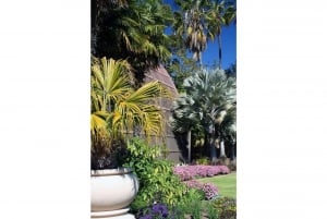 San Diego Botanical Garden Entry Ticket and Transportation