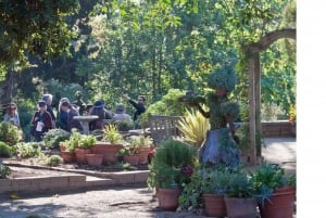 San Diego Botanical Garden Entry Ticket and Transportation