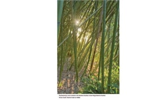 San Diegon kasvitieteellisen puutarhan pääsylippu ja kuljetus