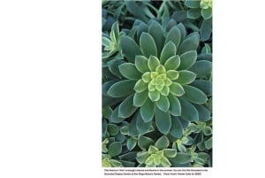 San Diegon kasvitieteellisen puutarhan pääsylippu ja kuljetus