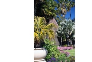 San Diegon kasvitieteellisen puutarhan pääsylippu ja kuljetus