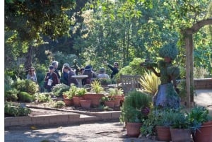 San Diegon kasvitieteellisen puutarhan pääsylippu ja kuljetus