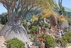 San Diegon kasvitieteellisen puutarhan pääsylippu ja kuljetus