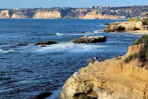San Diego: Guidet byrundvisning og strandtur med højdepunkter