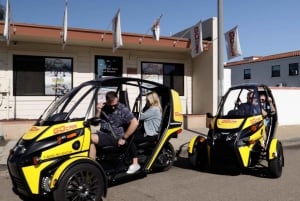 San Diego: Downtown Electric GoCar Rental