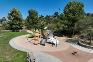 San Diego Downtown Highlights Private Guided Walking Tour