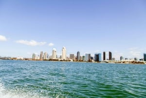 San Diego: Drive Your Own Speed Boat 2-Hour Tour