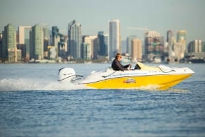 San Diego: Drive Your Own Speed Boat 2-Hour Tour