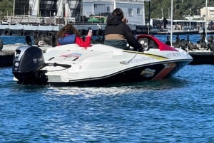 San Diego: Drive Your Own Speed Boat 2-Hour Tour