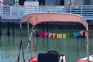 San Diego : Location de bateaux électriques avec parasol