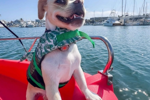 San Diego : Location de bateaux électriques avec parasol