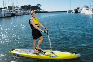 San Diego: verhuur van elliptische paddleboards